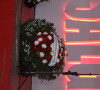 Dudu Nobre enviou coroa de flores para o velório de Quinho